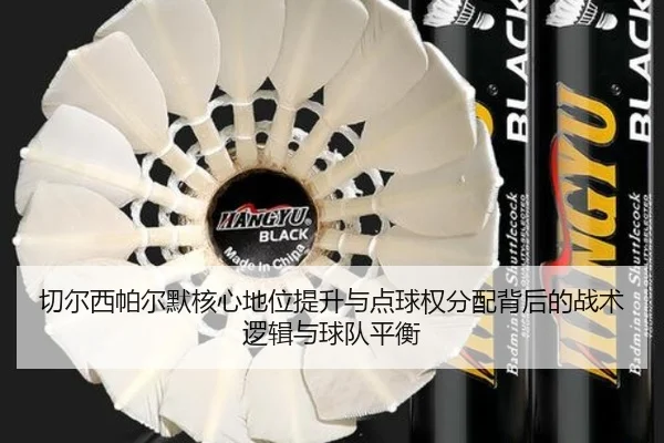 切尔西帕尔默核心地位提升与点球权分配背后的战术逻辑与球队平衡